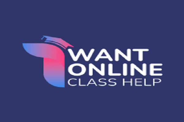 Paying Someone to do my Online Class Help in USA