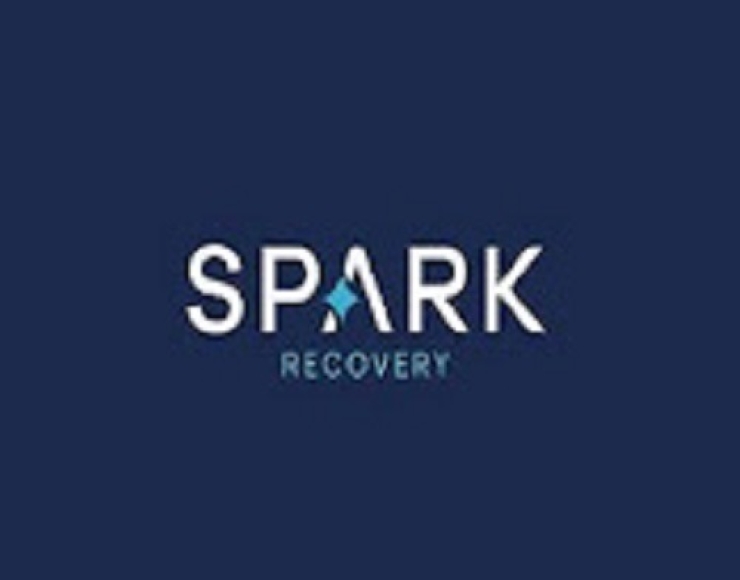 Spark Recovery